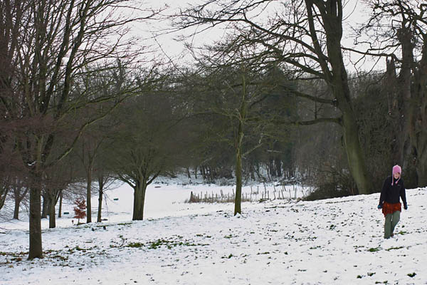woodland