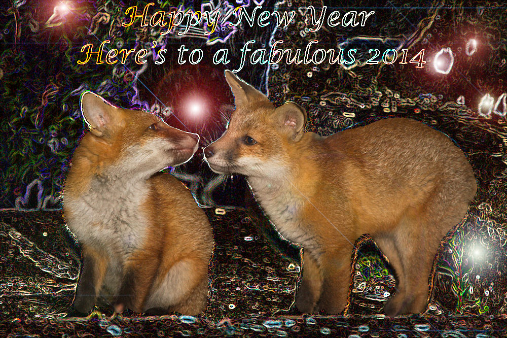 0101142005136980.jpg - Two fox cubs in suburban garden