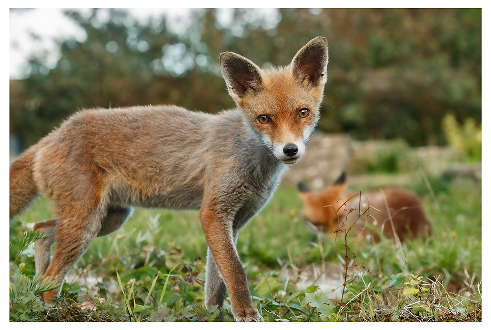 0210252609255461.jpg - Solo with Lopa