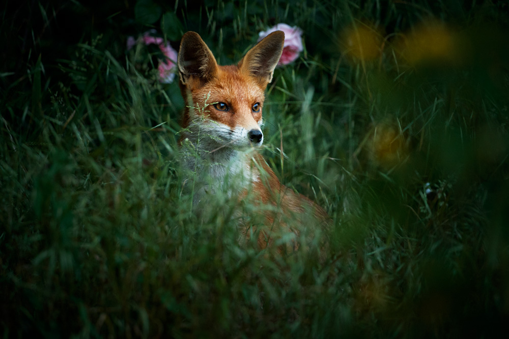 0606180606189894.jpg - Portraits of Pretty