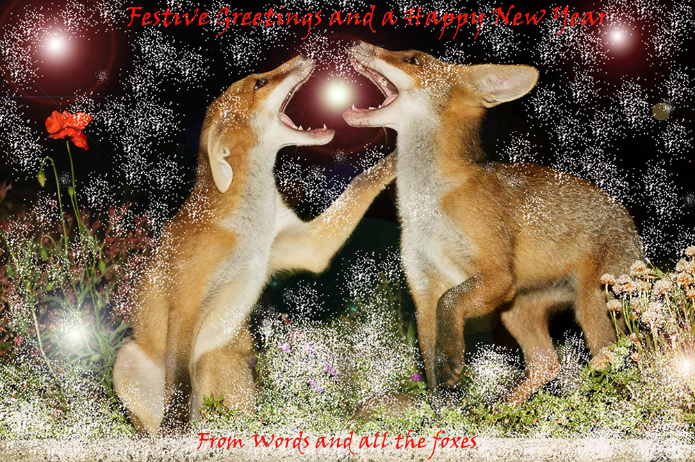xmas_2017_1906171917.jpg - Two fox cubs duelling