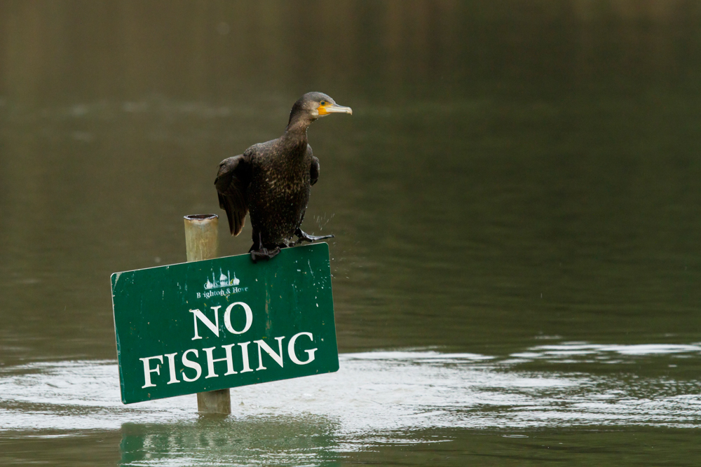 Images tagged "humour" Everything is Permuted