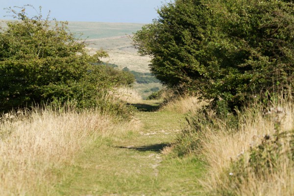 Castle Hill, East Sussex