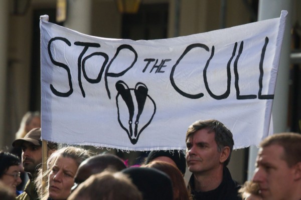 Protesters at the Brighton Stop the Badger Cull March, 