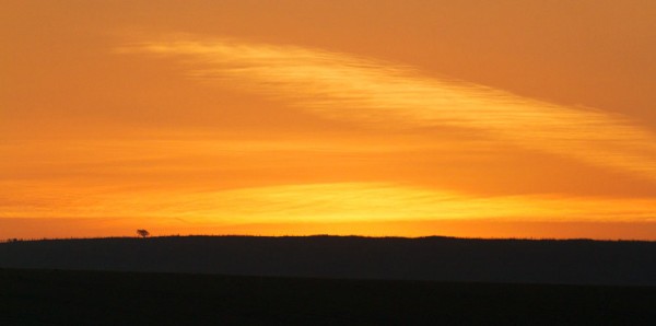 Sunrise over the South Downs