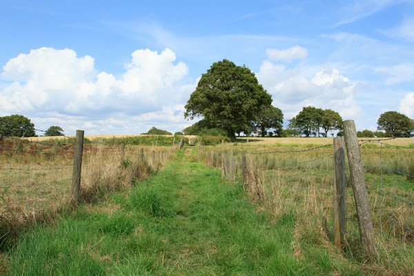 Fields at Woods Mill, East Sussex