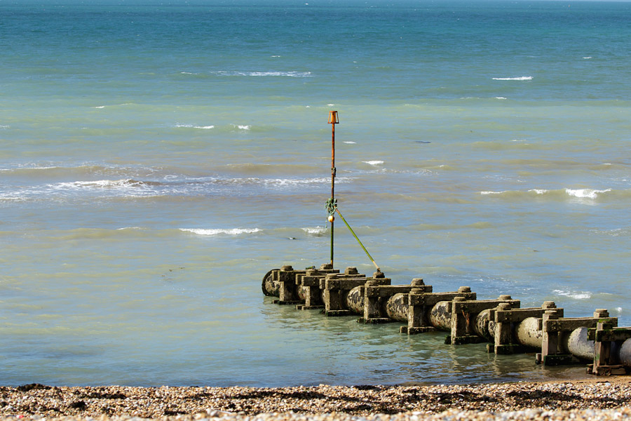 Battling Herring Gulls Everything is Permuted