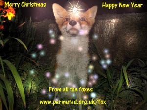 Festive Foxes