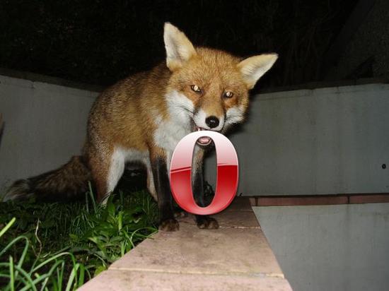operafox9