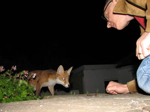 cubs_words_300506017sm