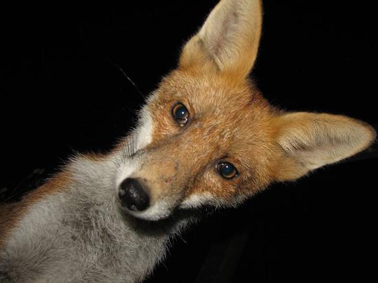 cubs_220806122