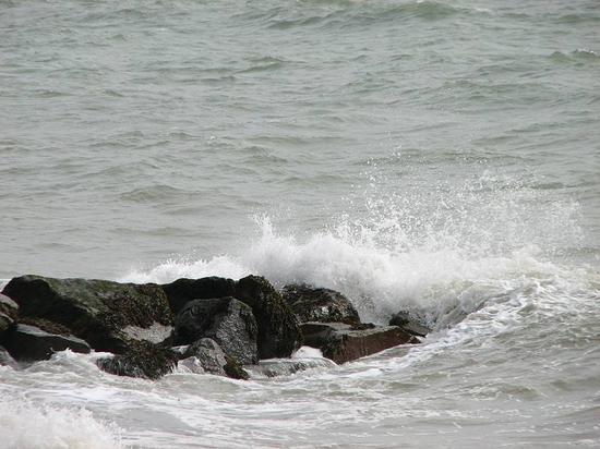 rottingdean_310806006