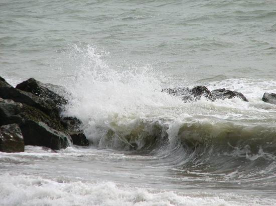 rottingdean_310806007