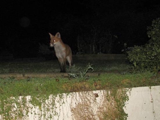 cubs_220906016sm