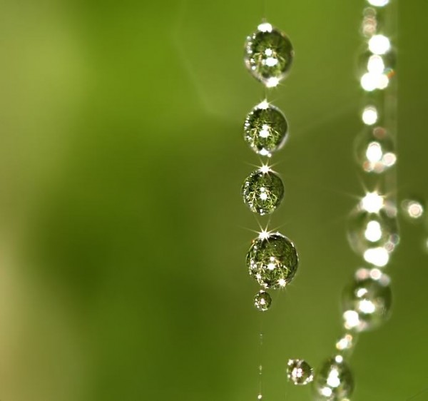 water droplet