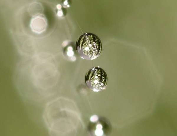 water droplet