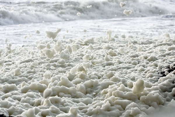 Sea foam