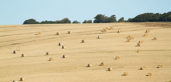 hay bales