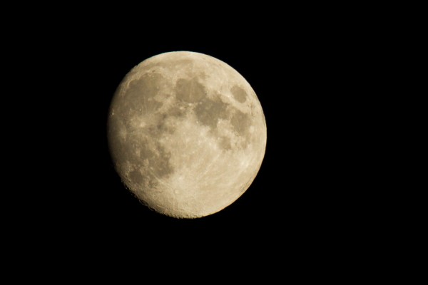Moon waxing gibbous