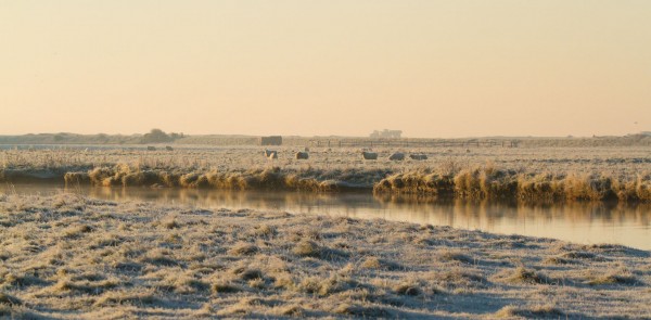 Seven Sisters Country Park