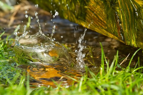 Water drops