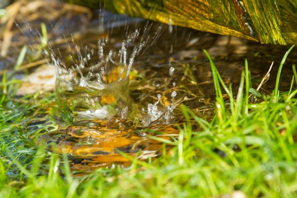 Water drops from a drainpipe