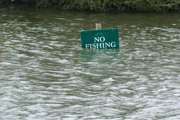 No Fishing sign in flooded pond at Falmer