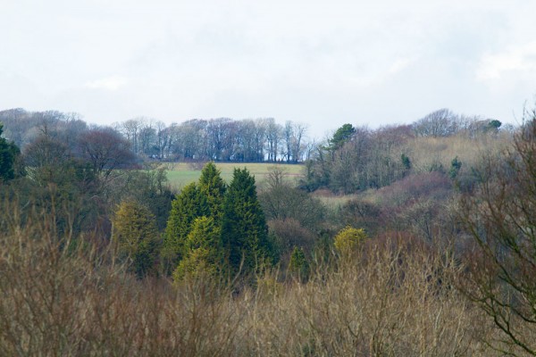 Stanmer Park
