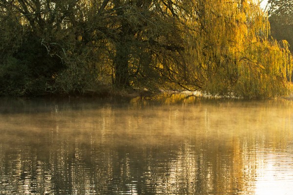 Falmer Pond