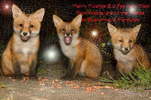 Fox Cubs