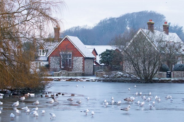 Falmer Pond, frozen