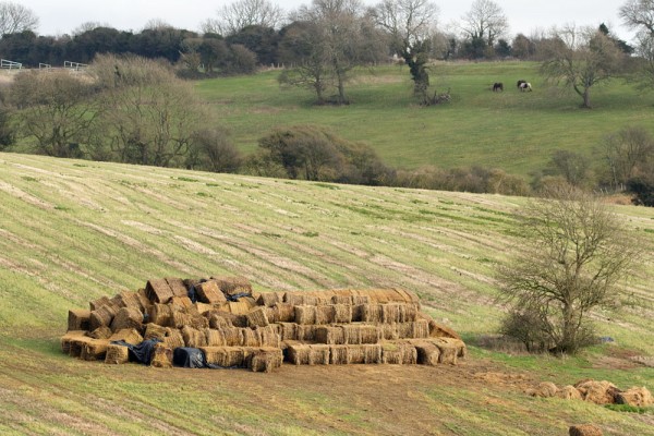 haystack