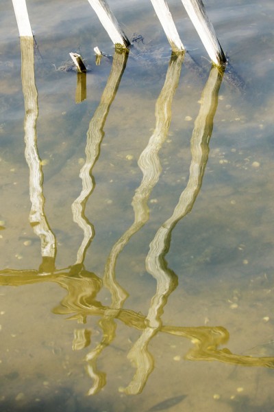 fence reflection