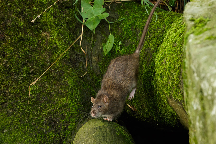 And that's a fine landing!