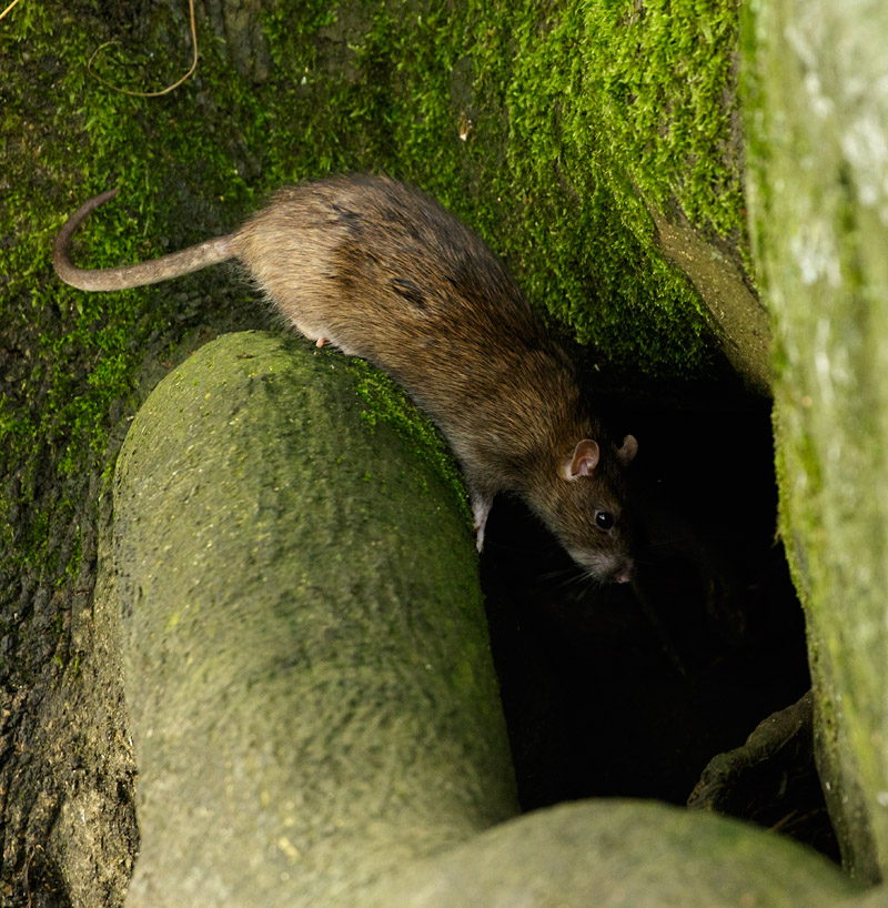 Checking out the next level.